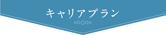 キャリアプラン