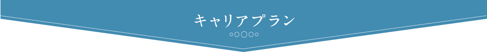 キャリアプラン